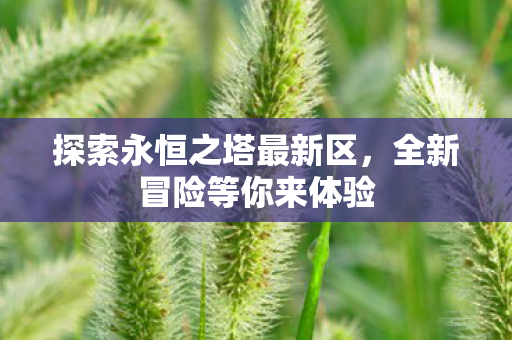 探索永恒之塔最新区图片