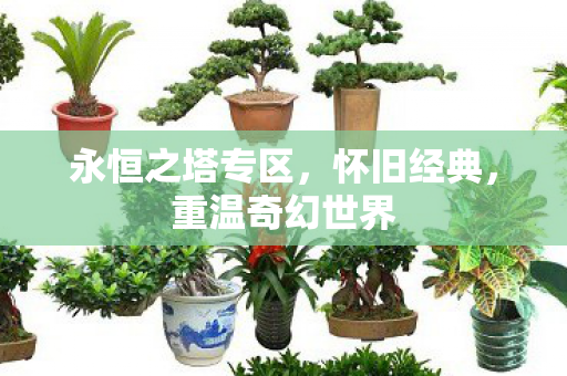 永恒之塔专区,怀旧经典,重温奇幻世界 永恒之塔专区,怀旧经典,重温奇幻世界