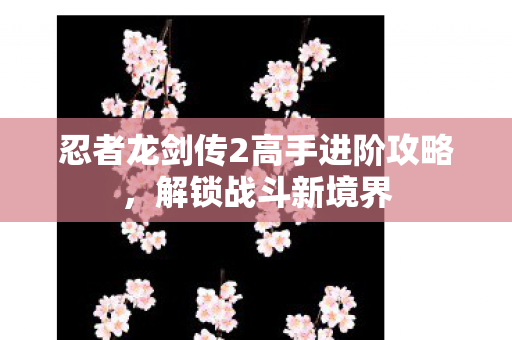 忍者龙剑传2高手进阶攻略图片
