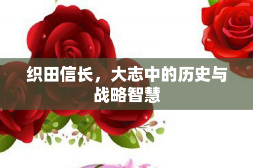 织田信长,大志中的历史与战略智慧 织田信长,大志中的历史与战略智慧