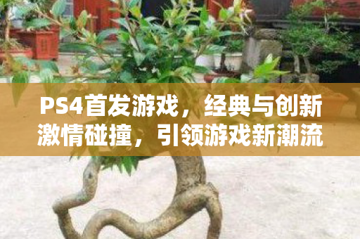 PS4首发游戏，经典与创新激情碰撞，引领游戏新潮流