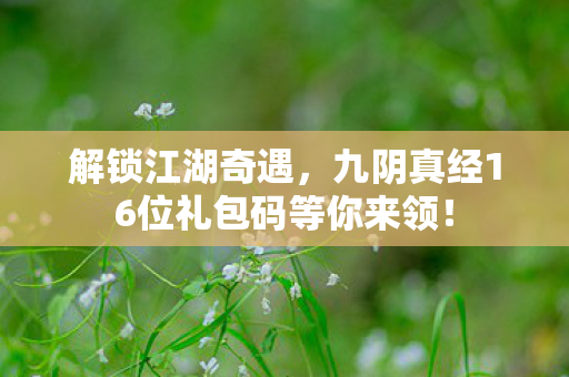 九阴真经16位礼包码等你来领图片