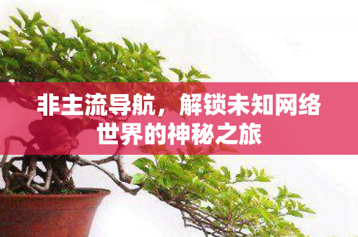 解锁未知网络世界的神秘之旅图片