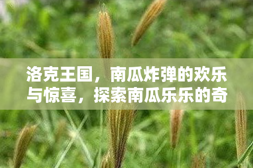 探索南瓜乐乐的奇妙世界图片
