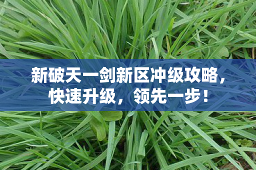 新破天一剑新区冲级攻略图片