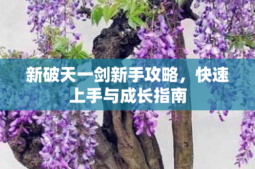 新破天一剑新手攻略,快速上手与成长指南 新破天一剑新手攻略,快速上手与成长指南