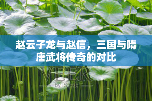 三国与隋唐武将传奇的对比图片