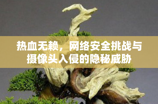 网络安全挑战与摄像头入侵的隐秘威胁图片