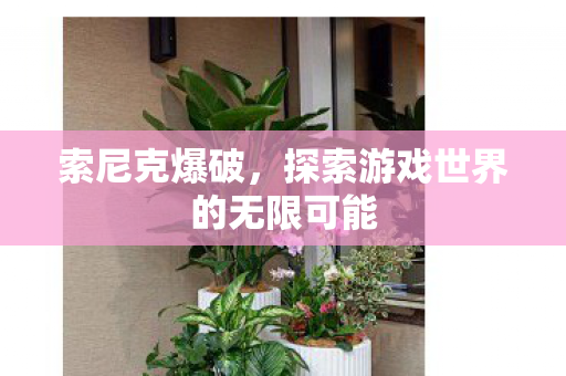 探索游戏世界的无限可能图片