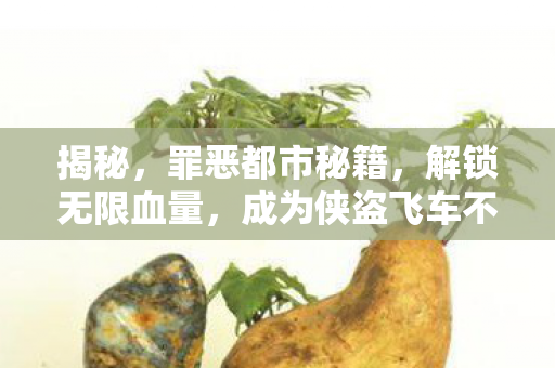 成为侠盗飞车不败传说图片