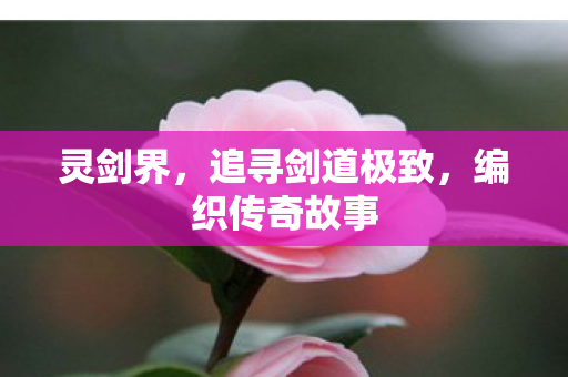 追寻剑道极致图片