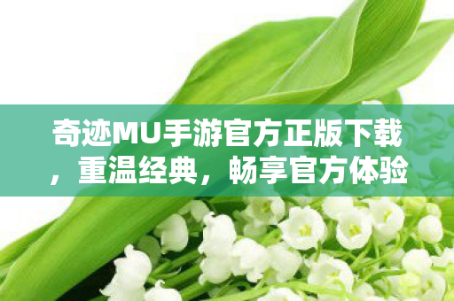 奇迹MU手游官方正版下载图片