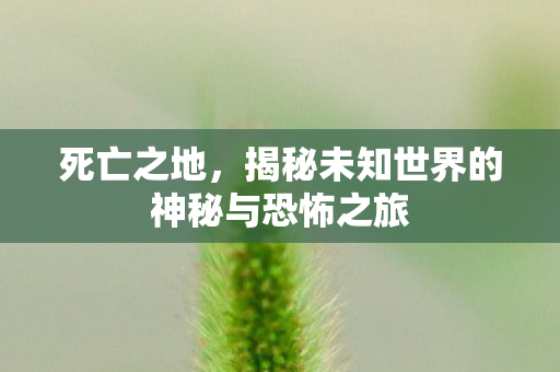 揭秘未知世界的神秘与恐怖之旅图片