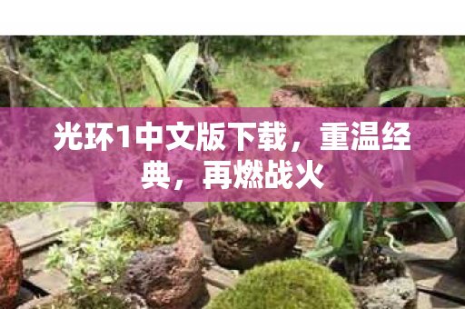 光环1中文版下载图片