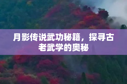 探寻古老武学的奥秘图片