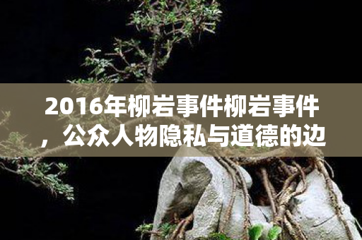 2016年柳岩事件柳岩事件，公众人物隐私与道德的边界，柳岩事件，公众人物隐私与道德的边界何在？