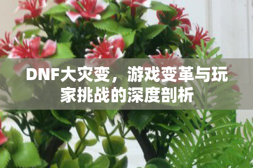 游戏变革与玩家挑战的深度剖析图片