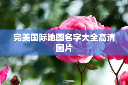 完美国际地图名字大全高清图片图片