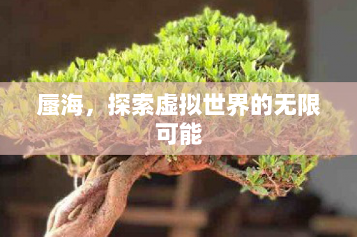 探索虚拟世界的无限可能图片