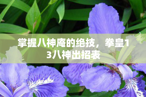 拳皇13八神出招表图片