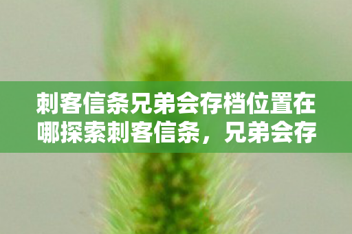 刺客信条兄弟会存档位置在哪探索刺客信条,兄弟会存档的奥秘与技巧,探索刺客信条兄弟会存档位置,揭秘存档奥秘与技巧 刺客信条兄弟会存档位置在哪探索刺客信条,兄弟会存档的奥秘与技巧,探索刺客信条兄弟会存档位置,揭秘存档奥秘与技巧