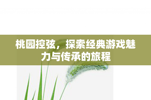 探索经典游戏魅力与传承的旅程图片