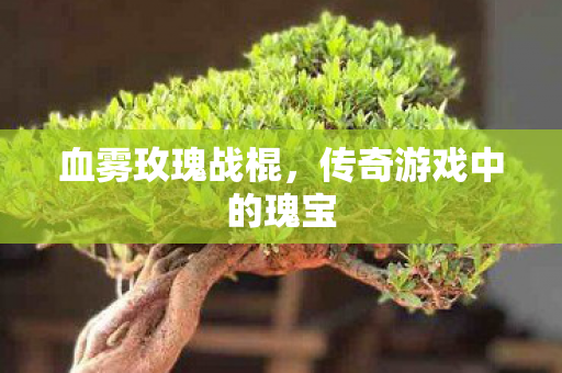 传奇游戏中的瑰宝图片