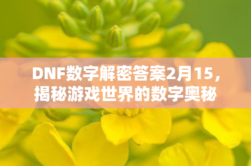 DNF数字解密答案2月15图片