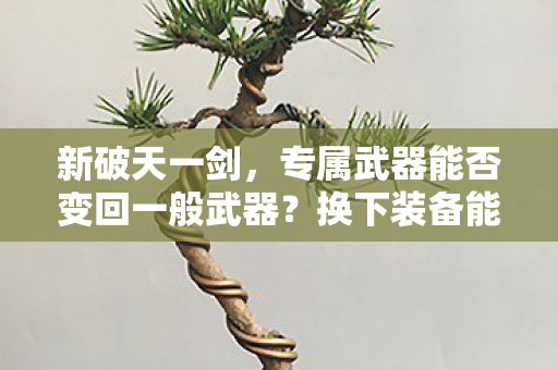 专属武器能否变回一般武器图片
