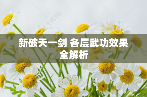 新破天一剑 各层武功效果全解析图片