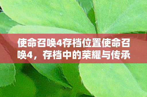 使命召唤4存档位置使命召唤4,存档中的荣耀与传承,使命召唤4存档,荣耀与传承的见证 使命召唤4存档位置使命召唤4,存档中的荣耀与传承,使命召唤4存档,荣耀与传承的见证