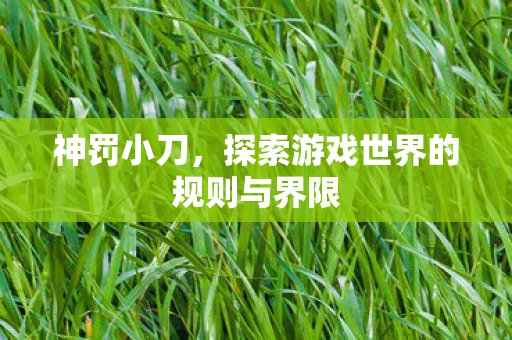 探索游戏世界的规则与界限图片