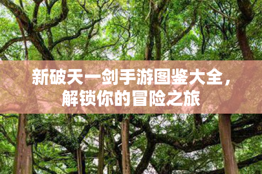新破天一剑手游图鉴大全图片