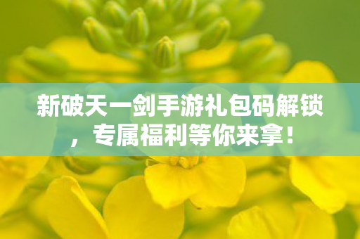 新破天一剑手游礼包码解锁图片