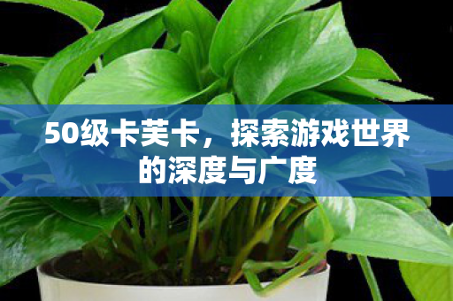 探索游戏世界的深度与广度图片