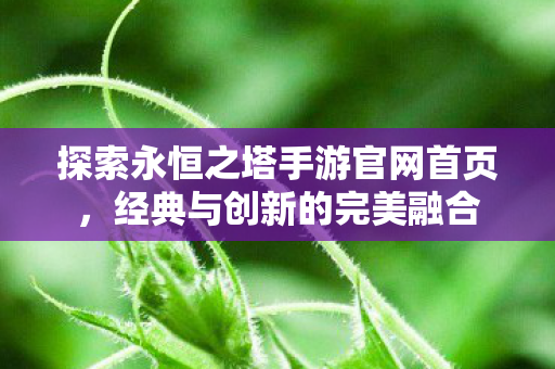 探索永恒之塔手游官网首页图片