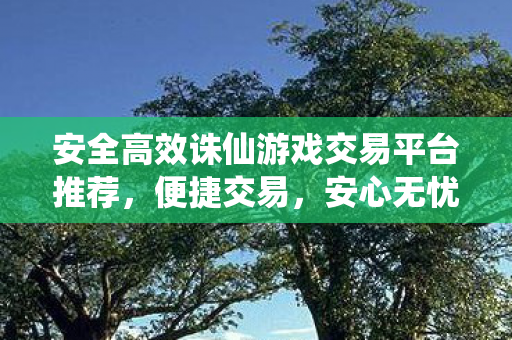 安全高效诛仙游戏交易平台推荐图片