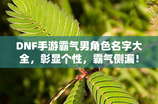 DNF手游霸气男角色名字大全图片