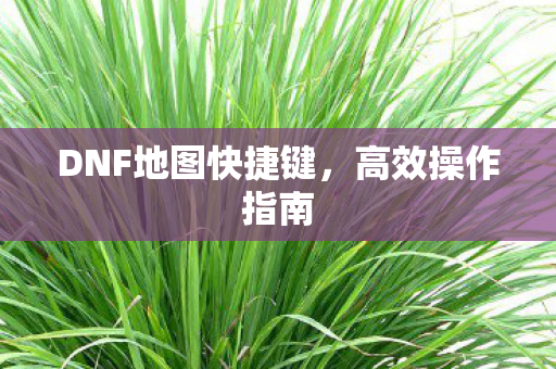 DNF地图快捷键图片