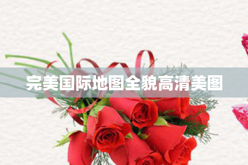 完美国际地图全貌高清美图图片
