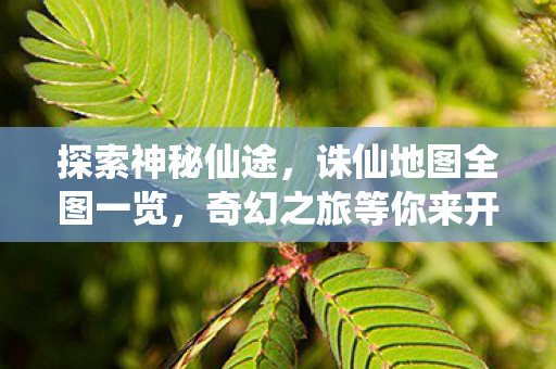 奇幻之旅等你来开启图片