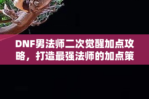 DNF男法师二次觉醒加点攻略图片