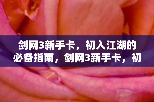 初入江湖的必备指南图片