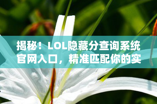 LOL隐藏分查询系统官网入口图片