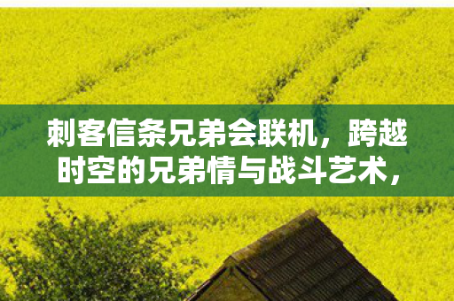 跨越时空的兄弟情与战斗艺术图片
