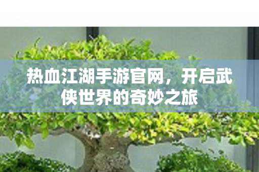 热血江湖手游官网,开启武侠世界的奇妙之旅 热血江湖手游官网,开启武侠世界的奇妙之旅