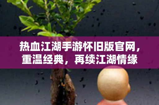 热血江湖手游怀旧版官网，重温经典，再续江湖情缘