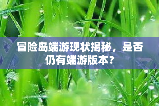 冒险岛端游现状揭秘图片