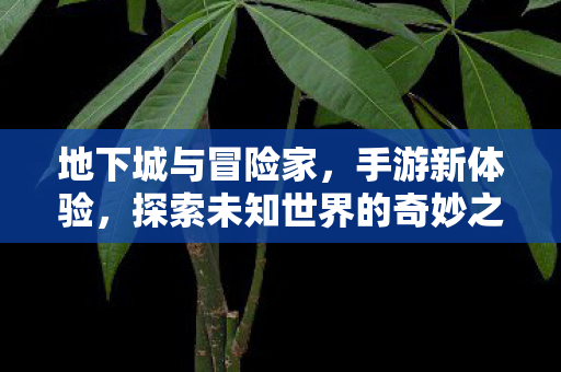 探索未知世界的奇妙之旅图片