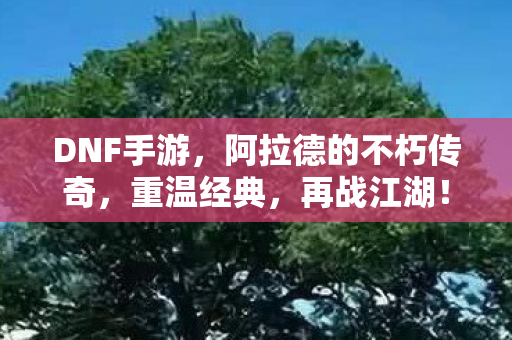 阿拉德的不朽传奇图片